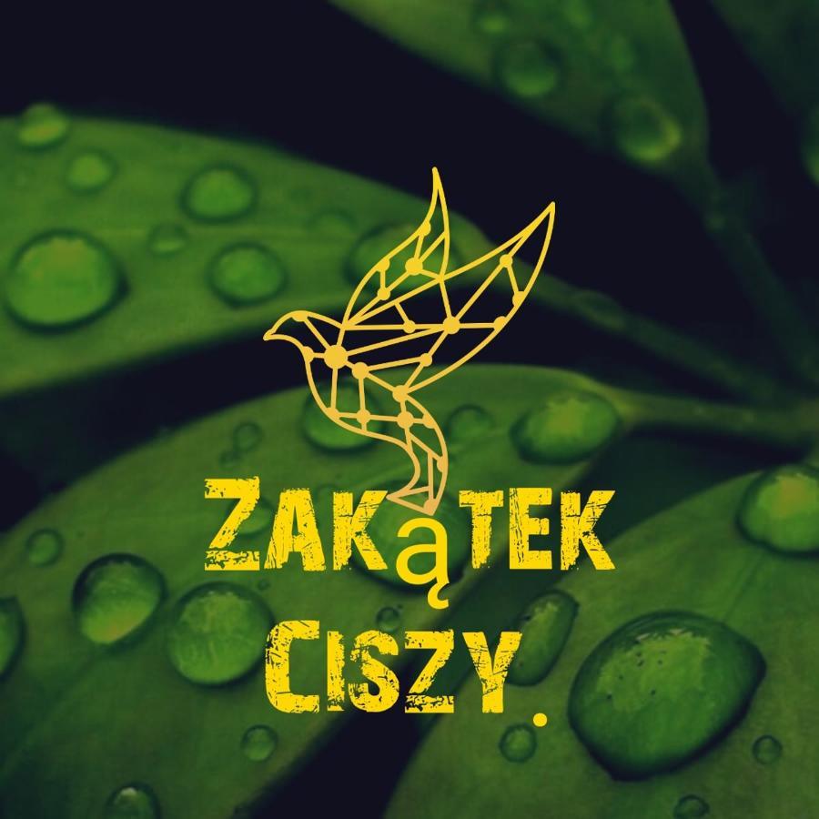 Zakatek Ciszy. Villa Sluchowo Buitenkant foto